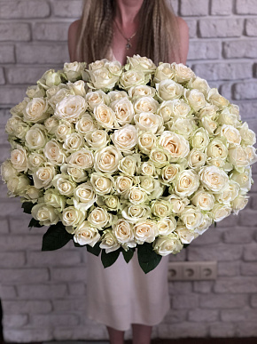 картинка Букет 101 роза Avalanche 40 см